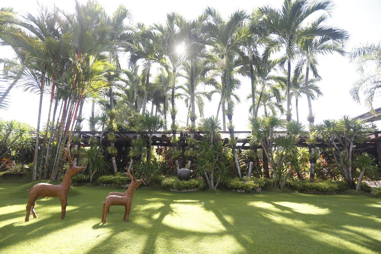 Victoria'S Haven Bed & Breakfast Dumaguete City Екстериор снимка